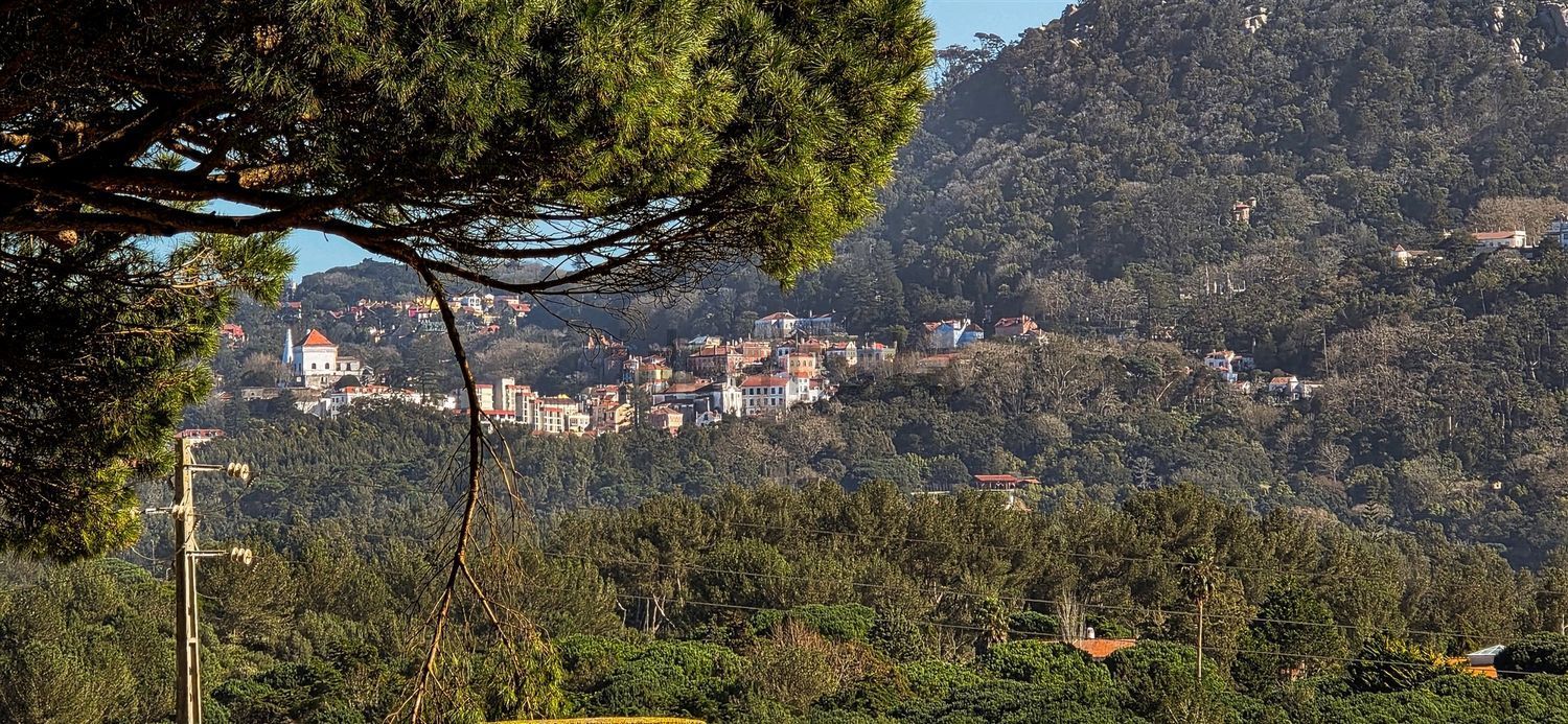 小楼房或独栋别墅出售在Rua Alto do Pedregal, 6 - 视线