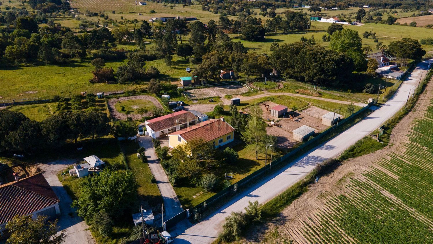 小楼房或独栋别墅出售在 Parque Industrial das Carrascas, Palmela, Portugal - 游泳池