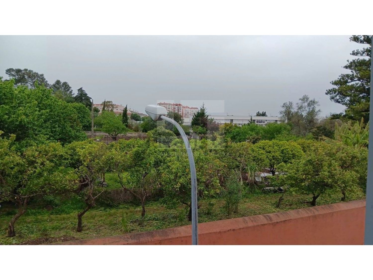 出租公寓 t1在Estrada Buraca, 17 - 花园