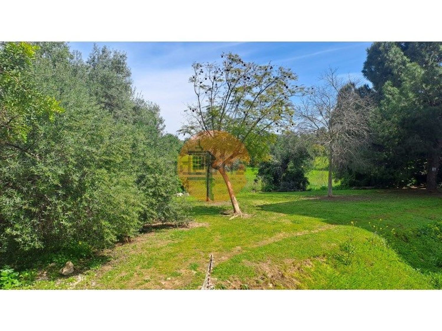 公寓 t3出售在 Porta Nova - Colinas da Boavista - 花园