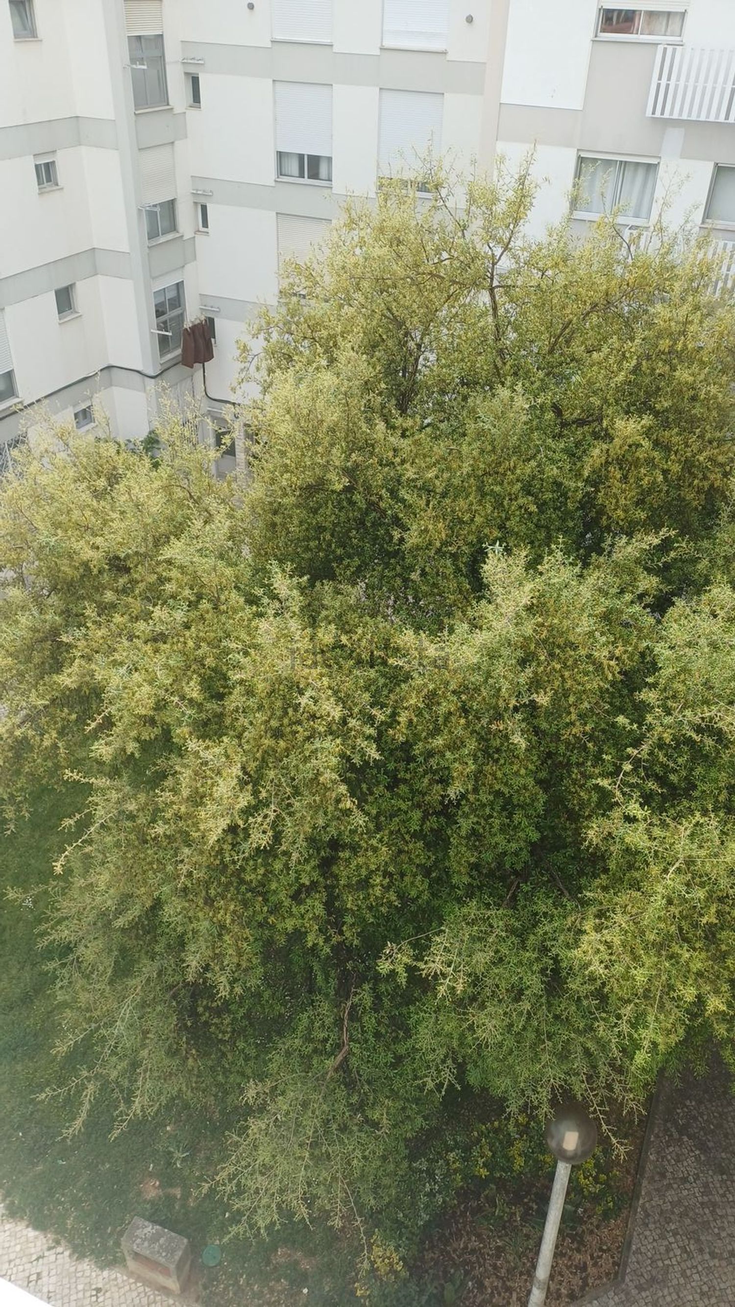 公寓 t2出售在Rua Gil Vicente, 124 - 客厅