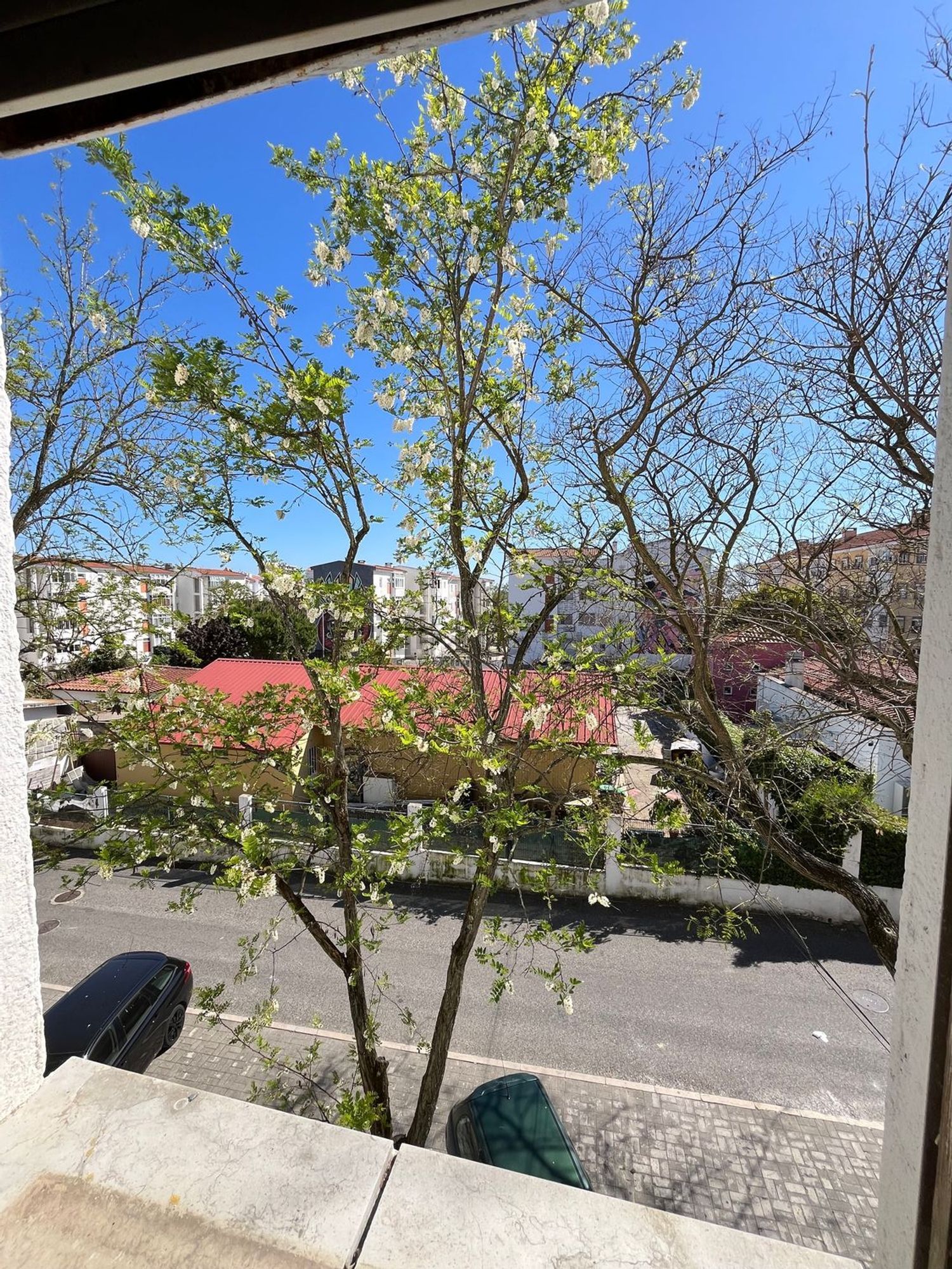 公寓 t3出售在Rua do Coral - 视线