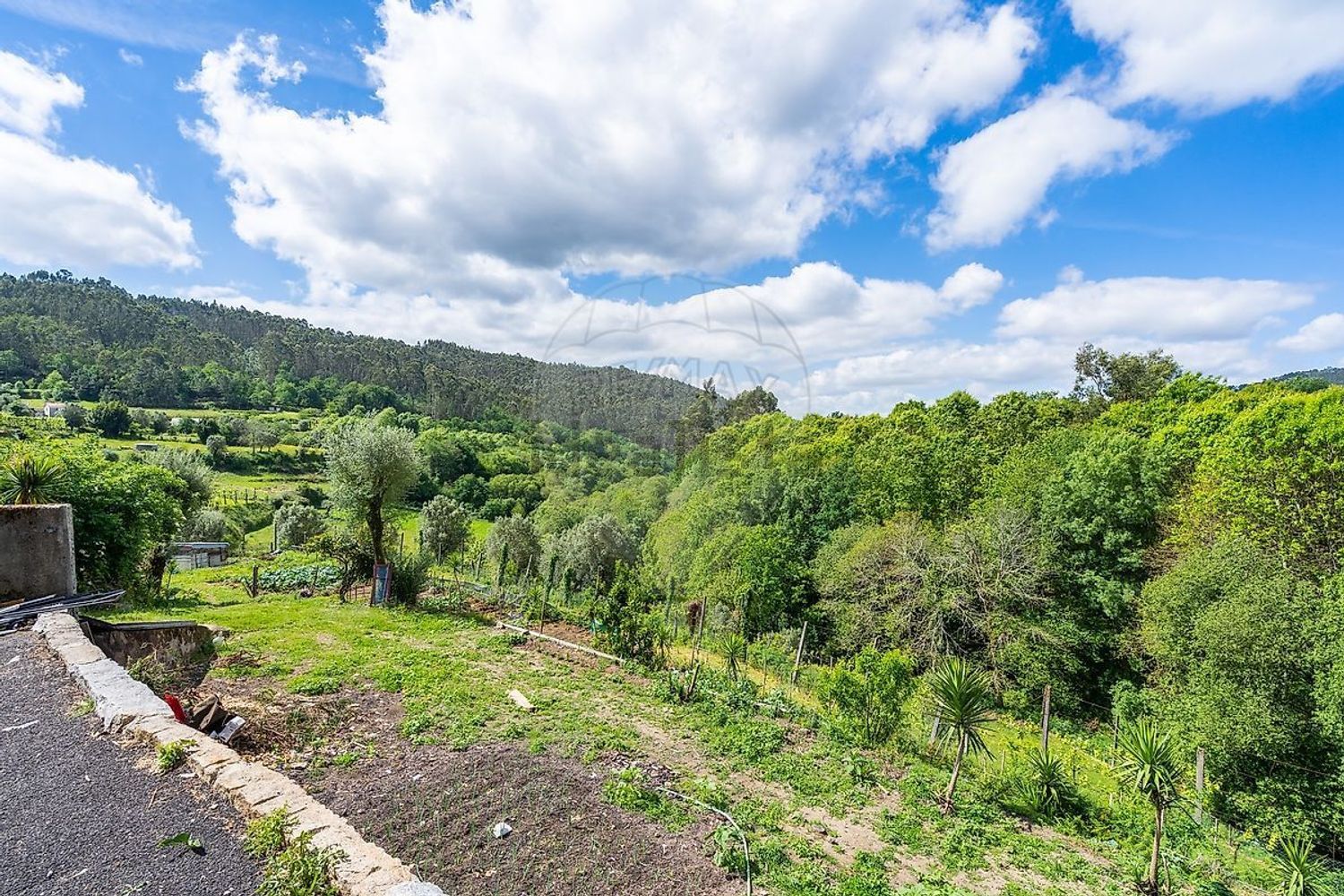 小楼房或独栋别墅出售在 Ribeira do Neiva - 花园
