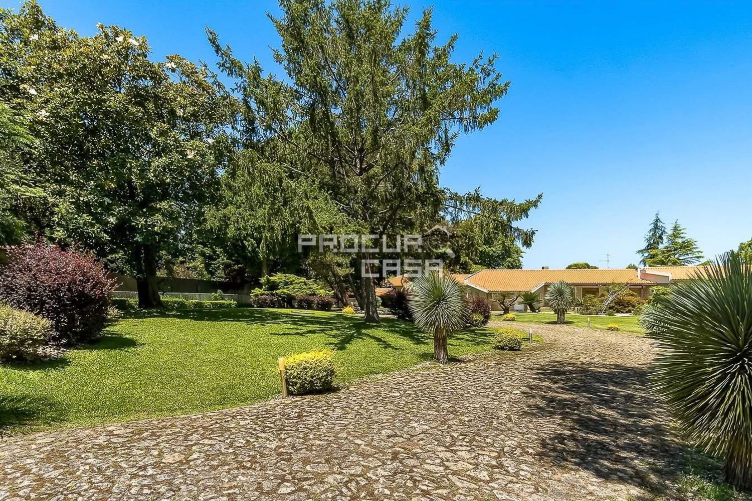 小楼房或独栋别墅出售在Rua António Costa e Neiva - 花园