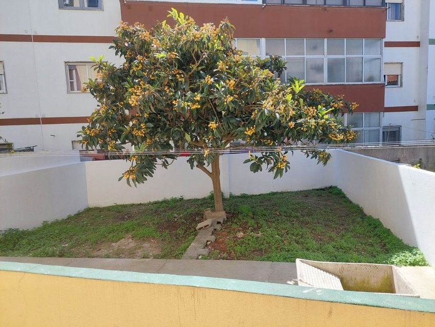 出租公寓 t2在 Santo Onofre e Serra do Bouro