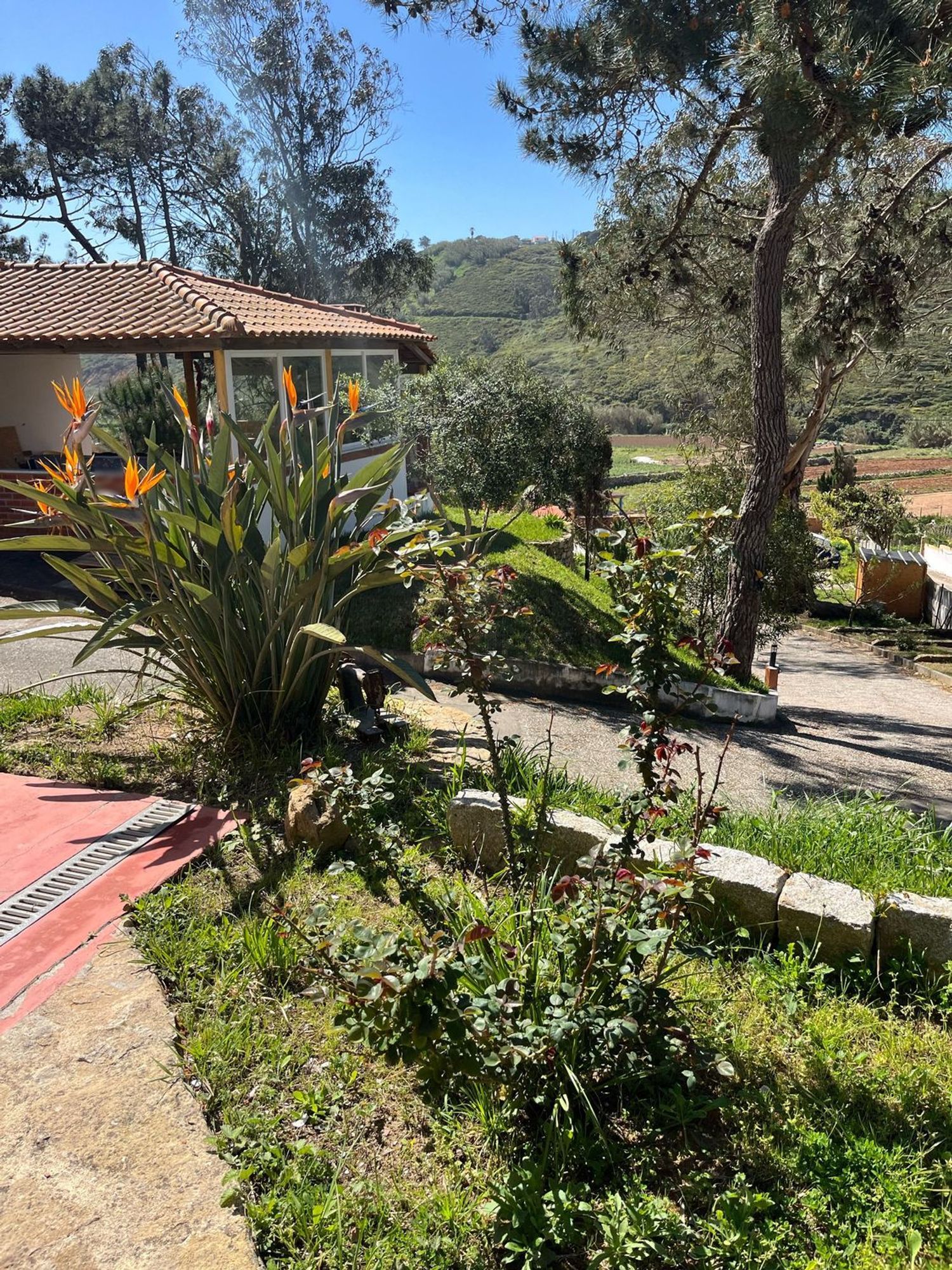 出租房间在Rua Ribeira do Barril, 16 - 花园