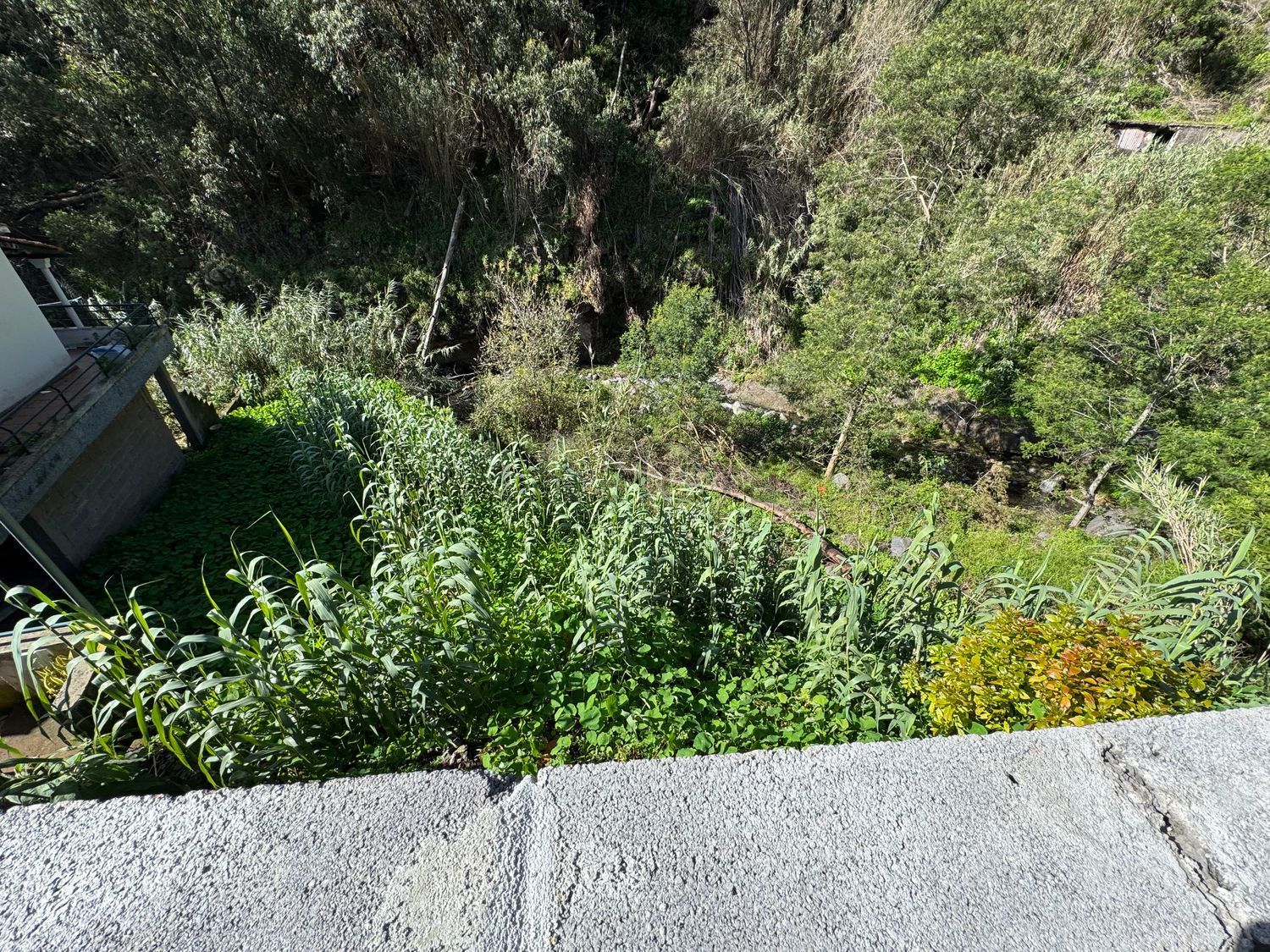 小楼房或独栋别墅出售在Caminho do Moinho, 45 - 花园