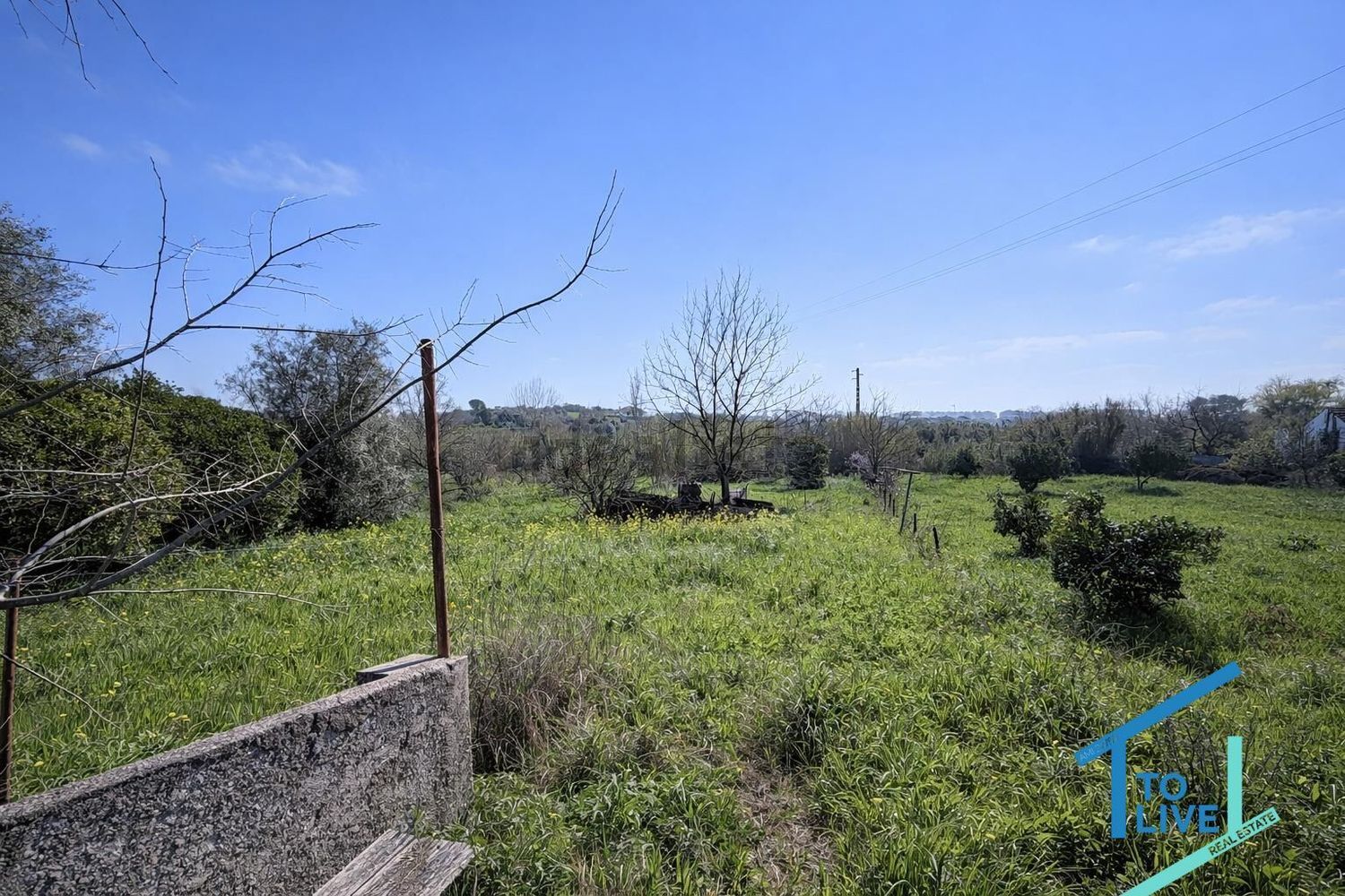 小楼房或独栋别墅出售在 Tomar e Santa Maria dos Olivais - 花园