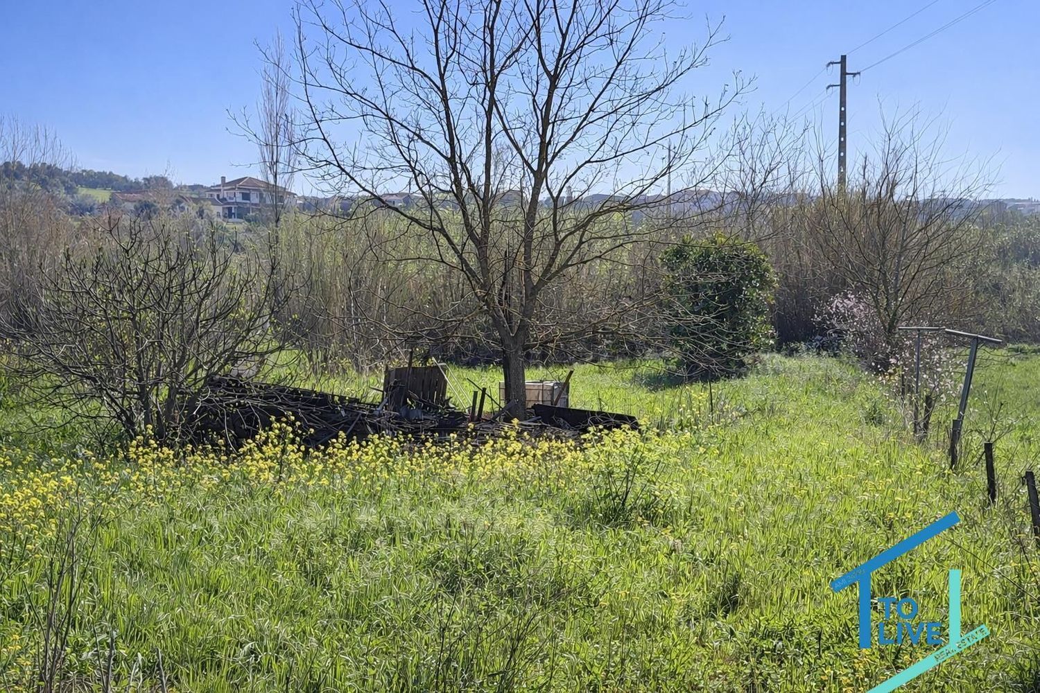 小楼房或独栋别墅出售在 Tomar e Santa Maria dos Olivais - 花园