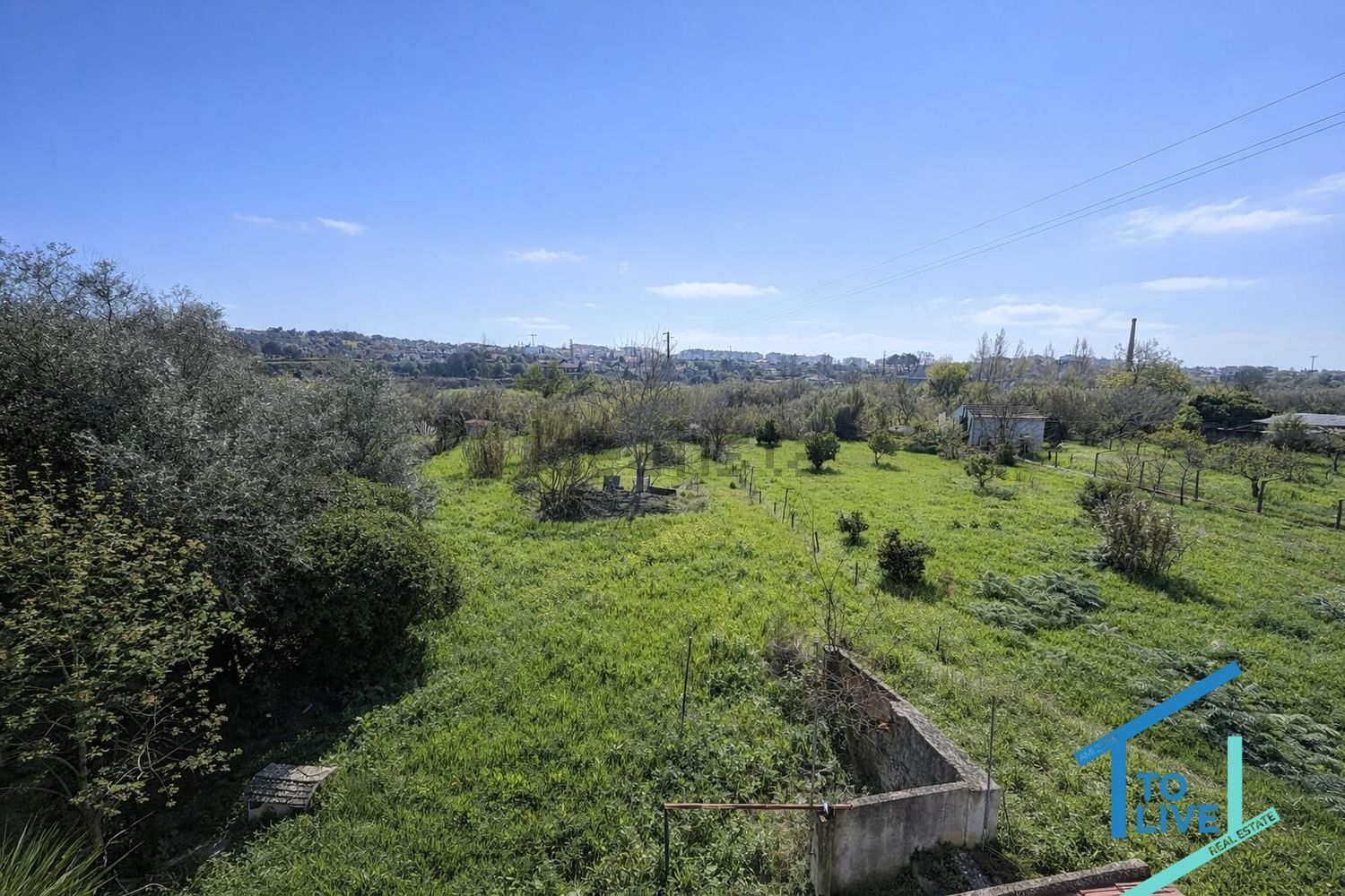 小楼房或独栋别墅出售在 Tomar e Santa Maria dos Olivais - 花园