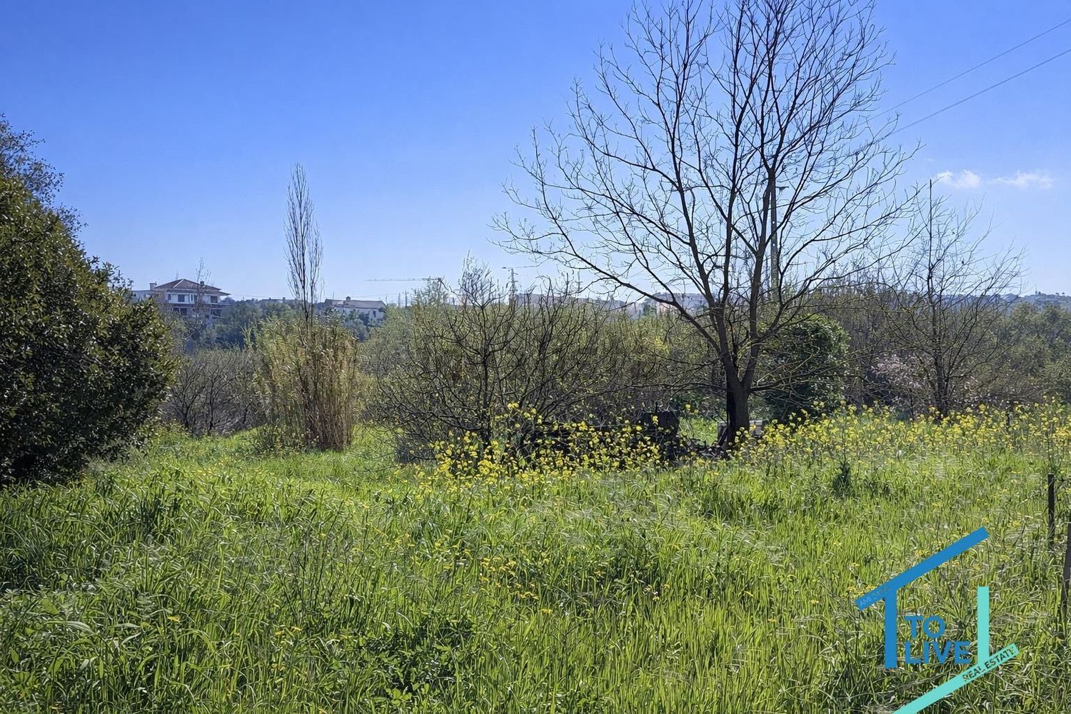小楼房或独栋别墅出售在 Tomar e Santa Maria dos Olivais - 花园