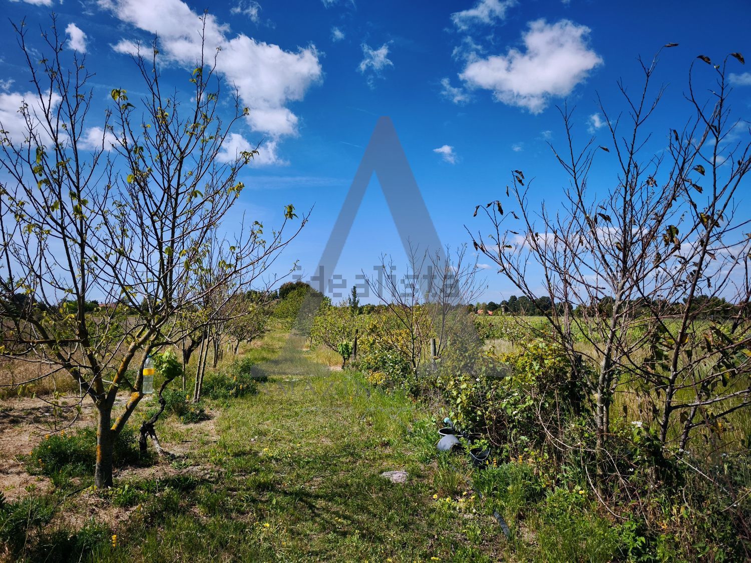 小楼房或独栋别墅出售在Estrada Vale de Marmelos, 25421 - 花园