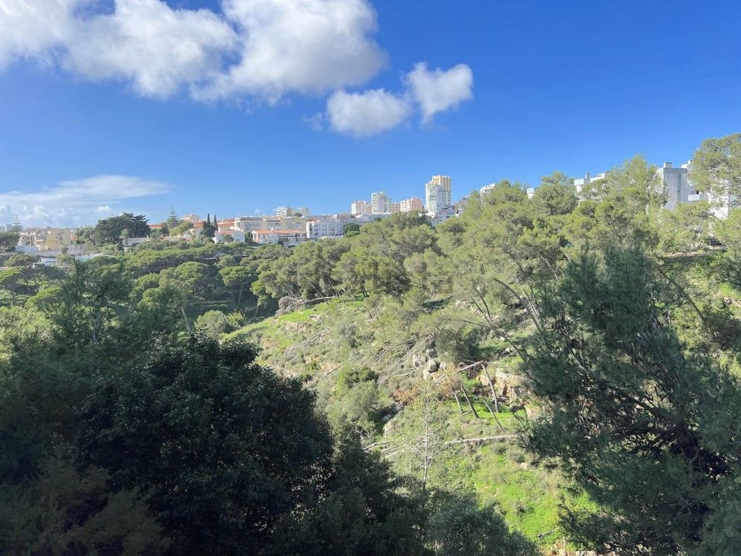 出租公寓 t3在 Parque de Palmela - Ribeira das Vinhas - 视线
