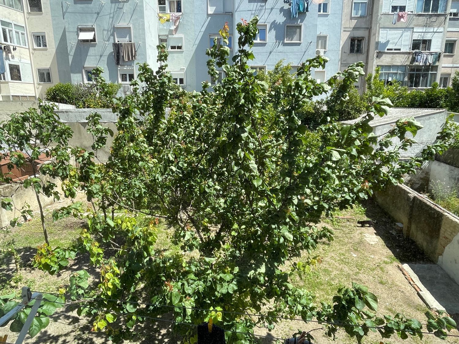 公寓 t2出售在Praça General Vicente de Freitas, 11 - 花园