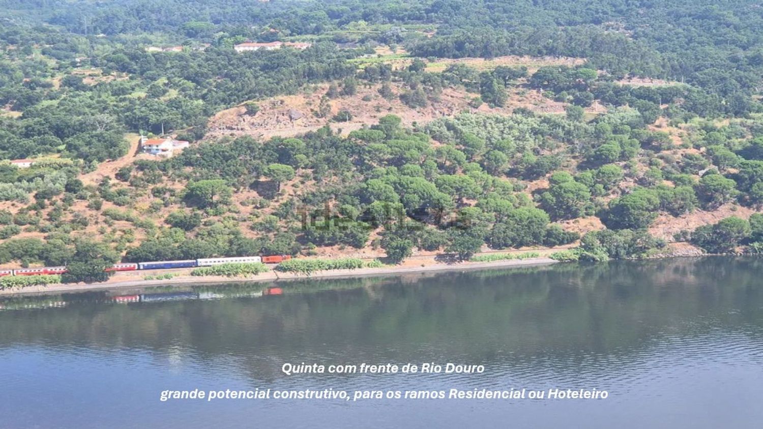 庄园出售在Estrada Nacional 222 - 视线