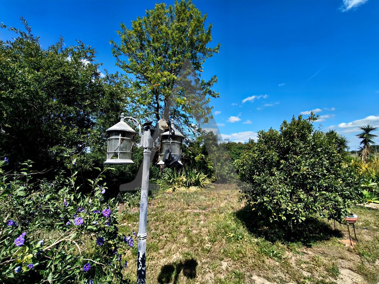 小楼房或独栋别墅出售在Estrada Vale de Marmelos, 25421 - 花园