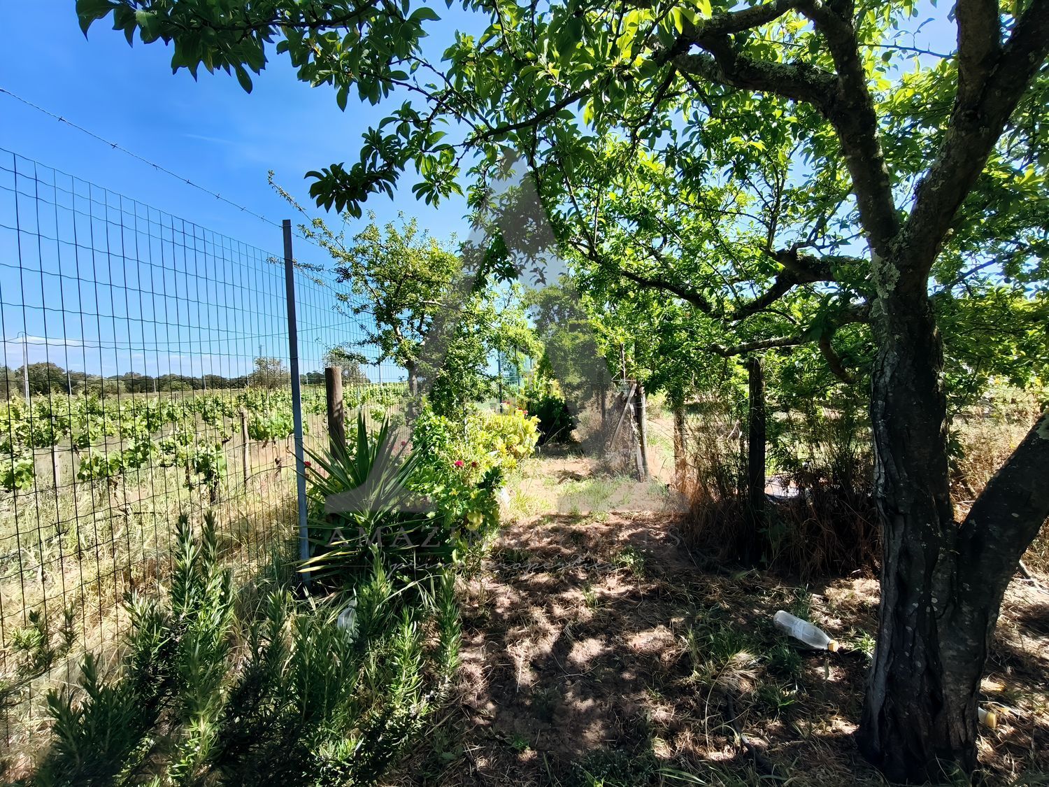 小楼房或独栋别墅出售在Estrada Vale de Marmelos, 25421 - 花园