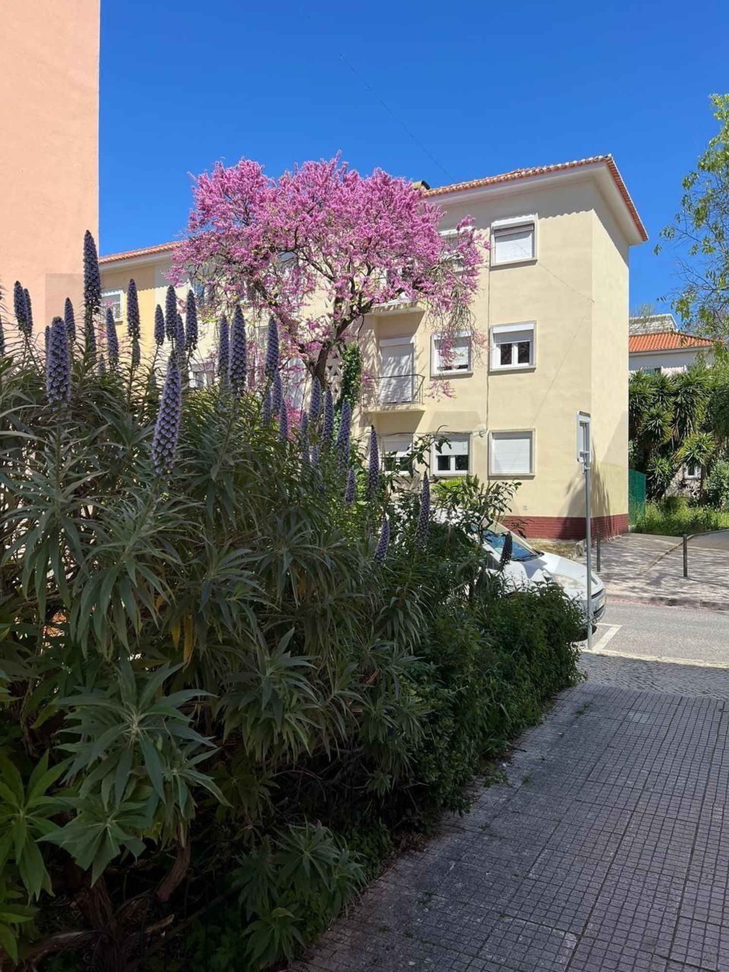 公寓 t1出售在 Bairro de Alvalade - 外立面