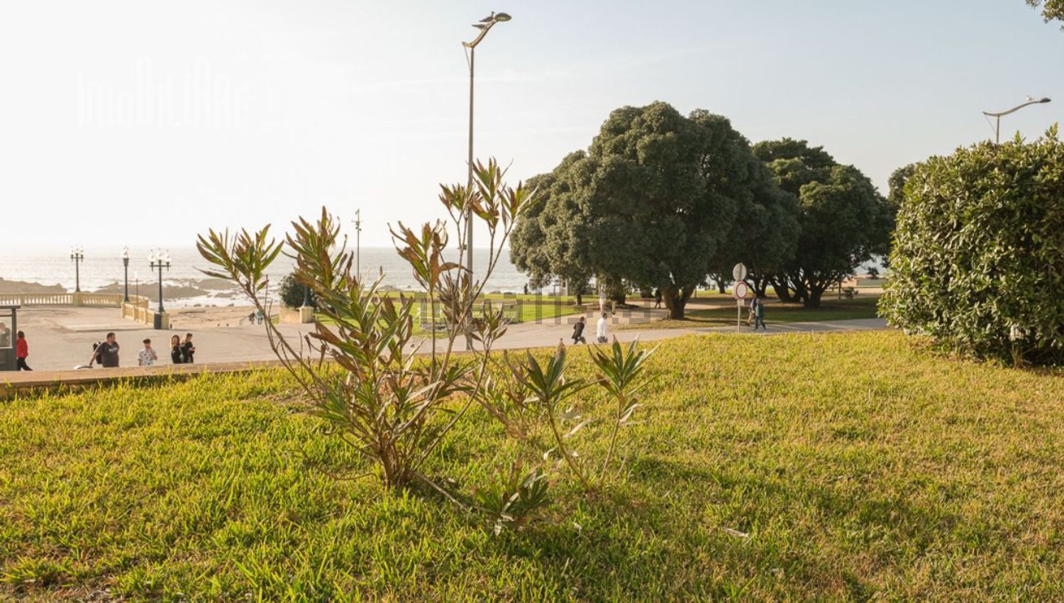 小楼房或独栋别墅出售在Avenida de Montevideu - 花园
