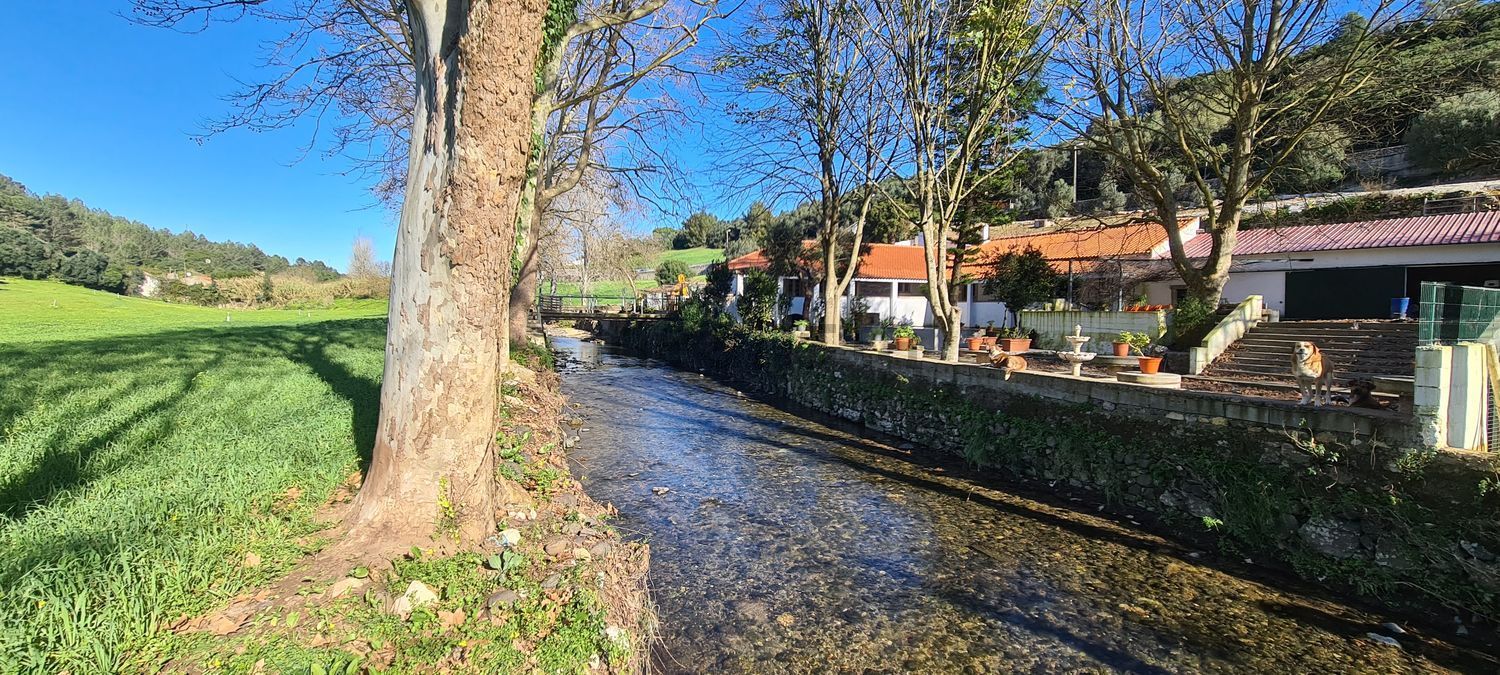 出租小楼房或独栋别墅在 Quinta da Moura - 外立面