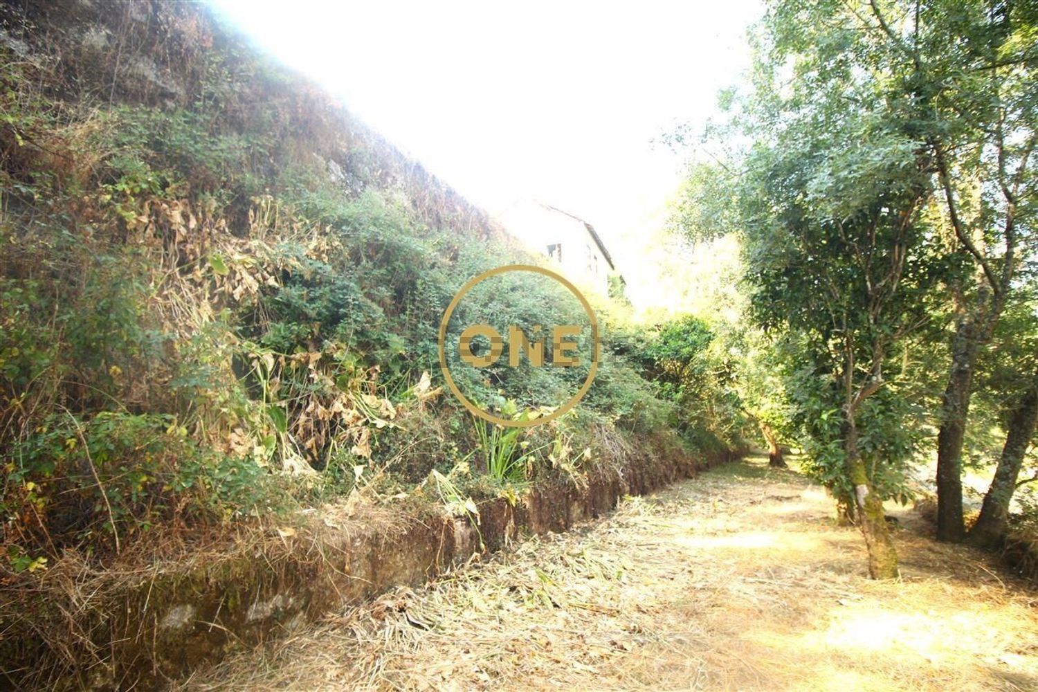 庄园出售在Rua dos Aves - 花园
