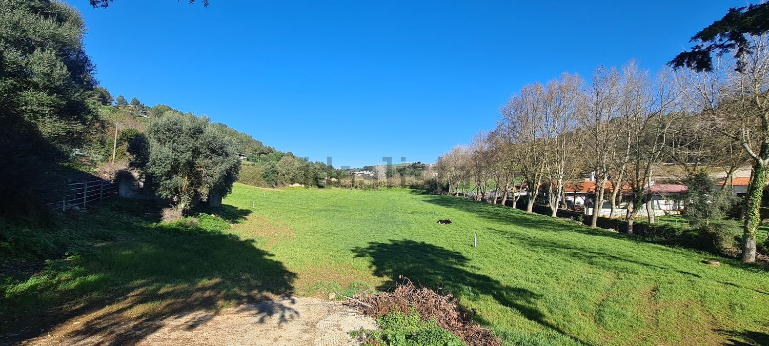 出租小楼房或独栋别墅在 Quinta da Moura - 花园