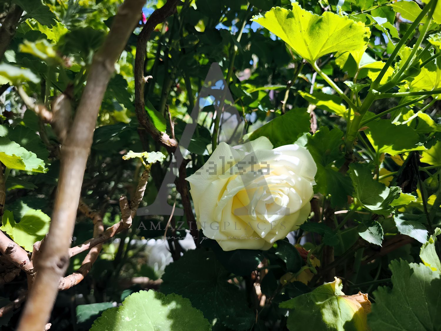 小楼房或独栋别墅出售在Estrada Vale de Marmelos, 25421 - 花园