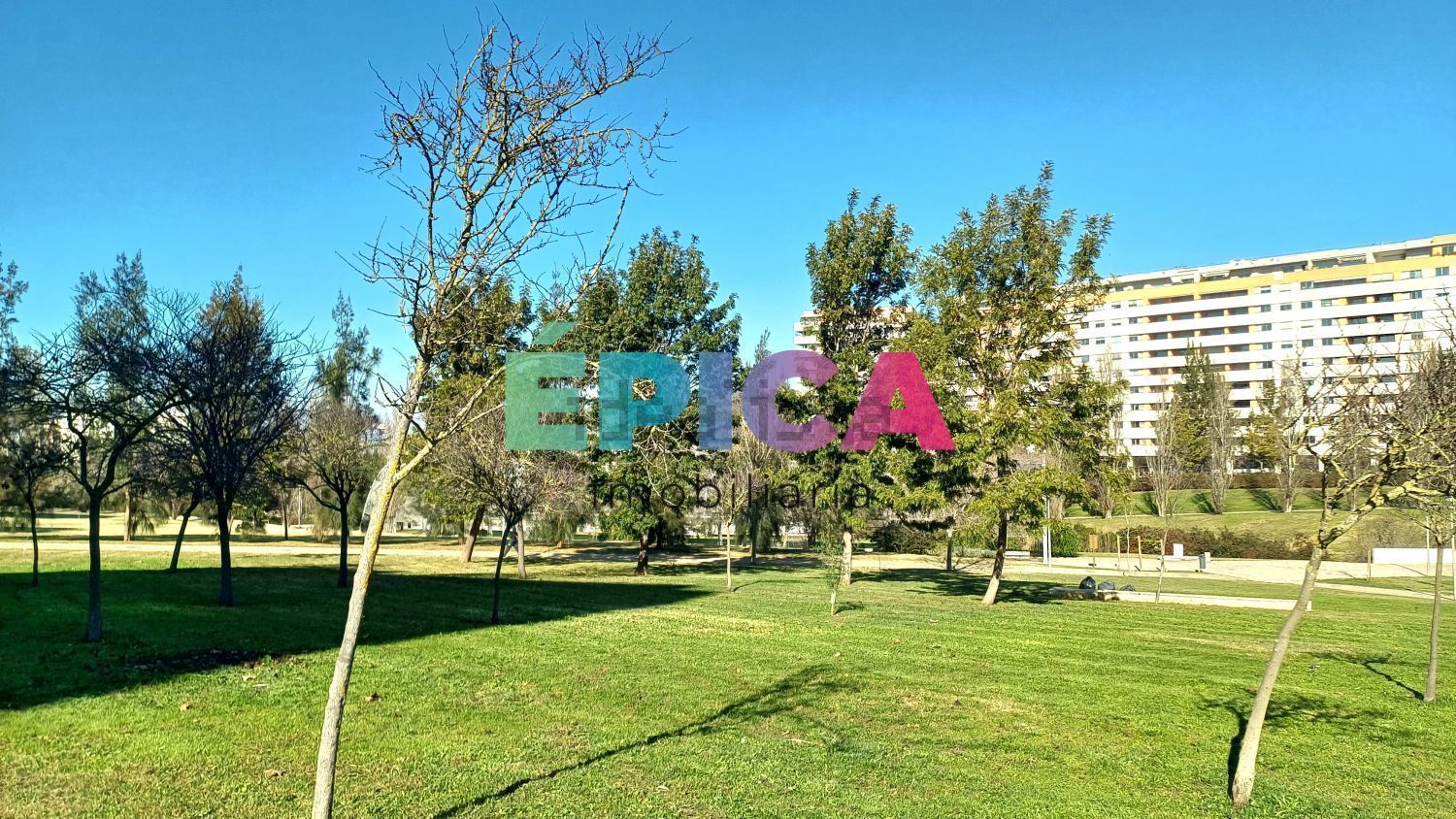 公寓 t3出售在 Jardim Maria da Luz Ponces de Carvalho, 7 - 花园