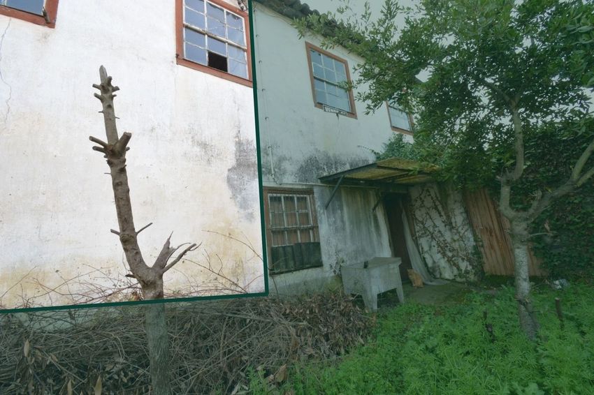 小楼房或独栋别墅出售在 Sé - Santa Maria - Meixedo