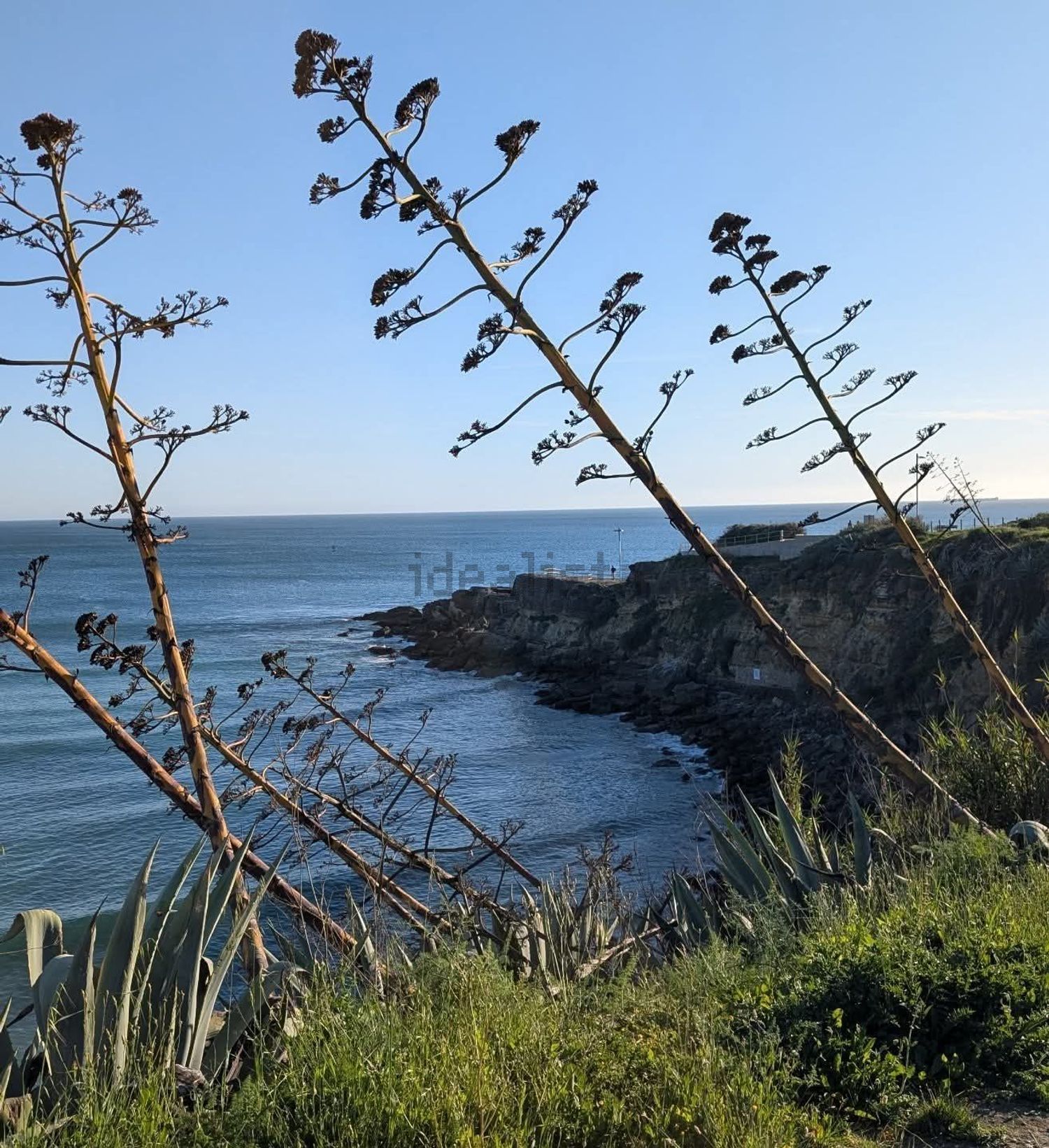 小楼房或独栋别墅出售在 São Pedro do Estoril - 视线