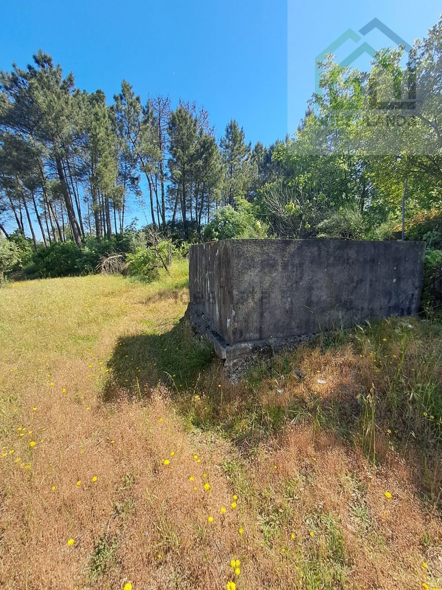 庄园出售在 Póvoa de Midões - 花园