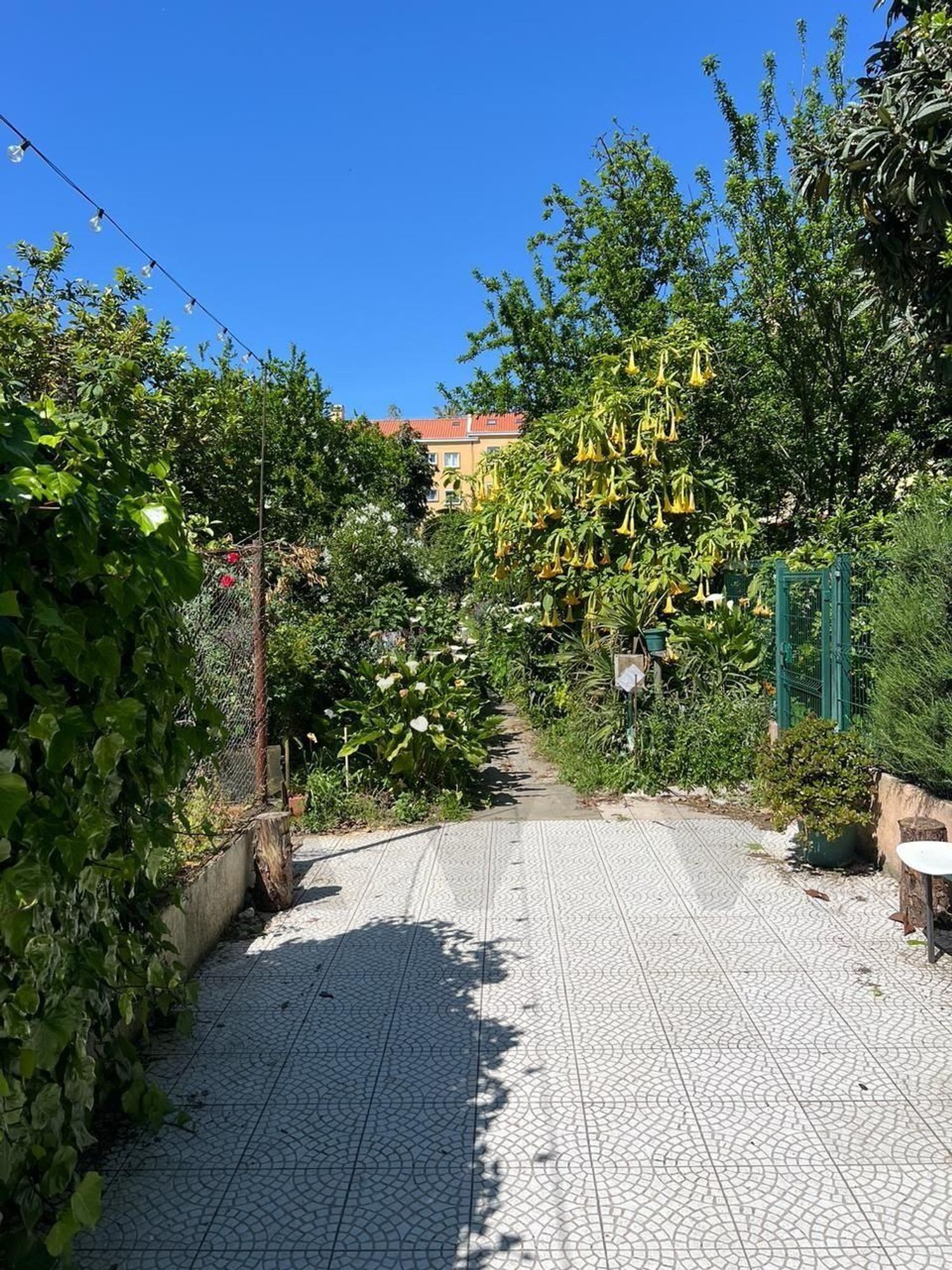 公寓 t1出售在 Bairro de Alvalade - 花园