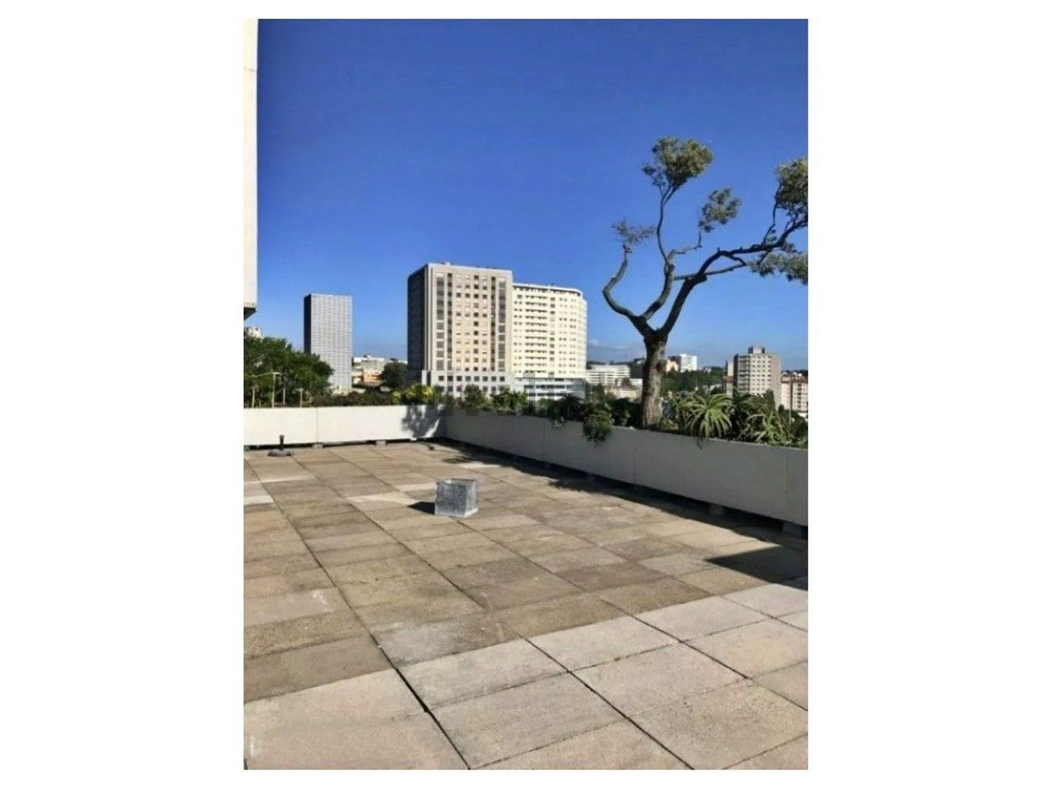 出租公寓 t3在Rua Beato Inácio de Azevedo - 阳台