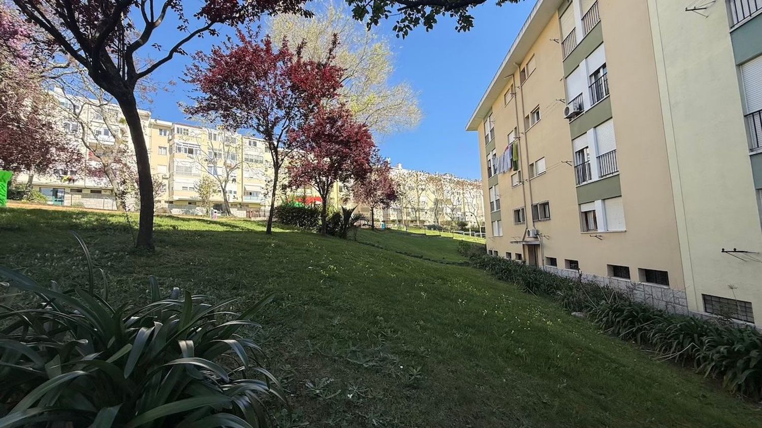 公寓 t3出售在Rua Pinheiro Borges, 7 - 花园