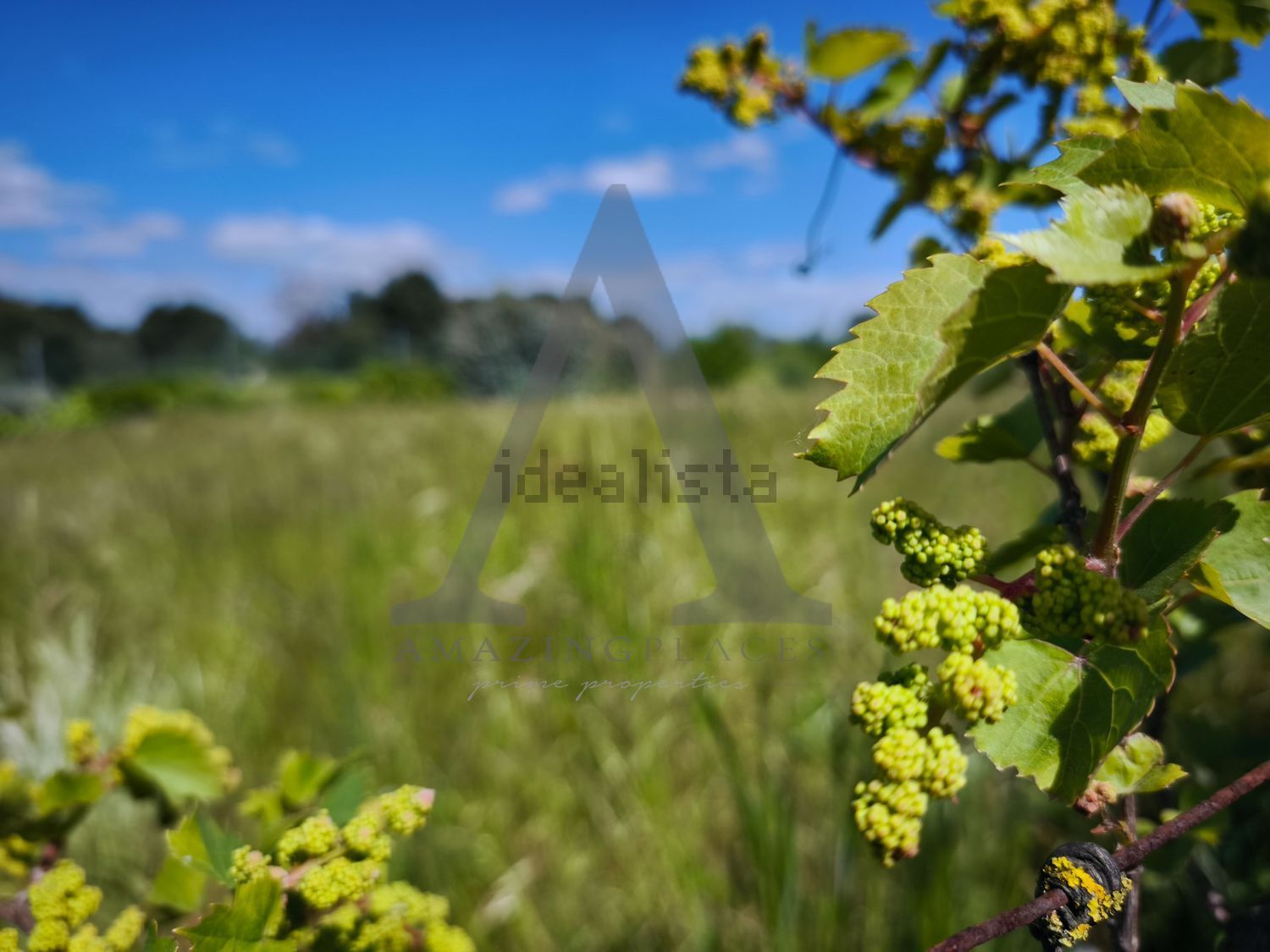 小楼房或独栋别墅出售在Estrada Vale de Marmelos, 25421 - 花园