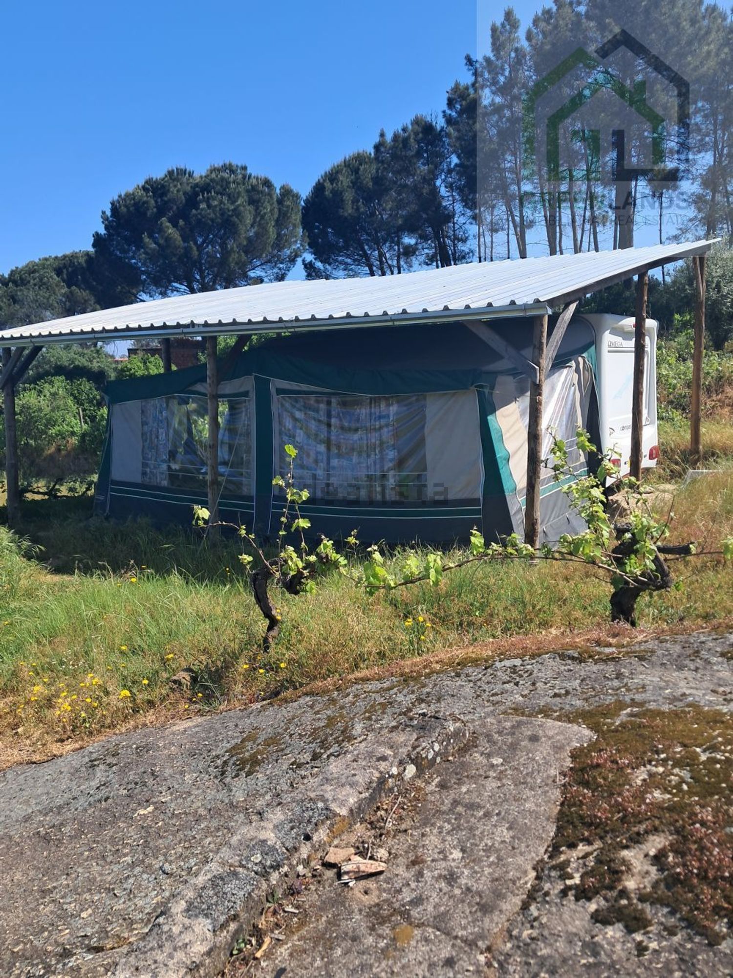 庄园出售在 Póvoa de Midões - 外立面