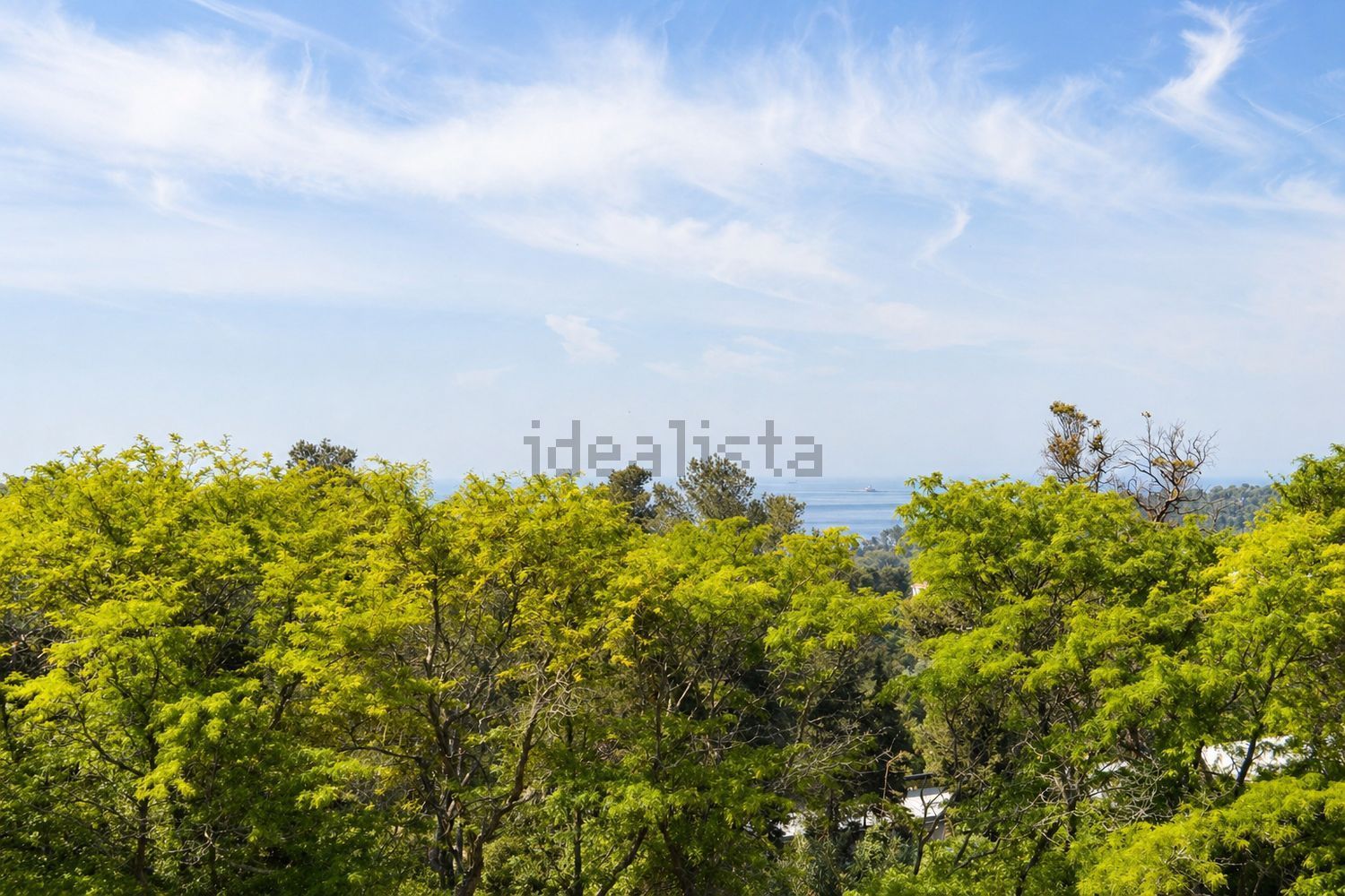 出租公寓 t2在Rua Gonçalves Crespo, 7 - 花园