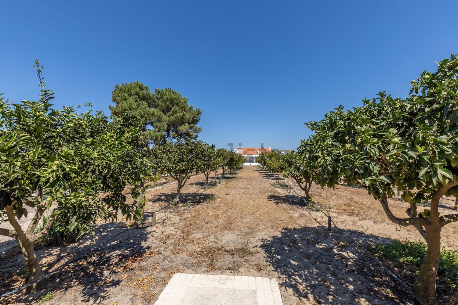 小楼房或独栋别墅出售在 Quinta Do Caixeiro(samouco) Samouco - 花园