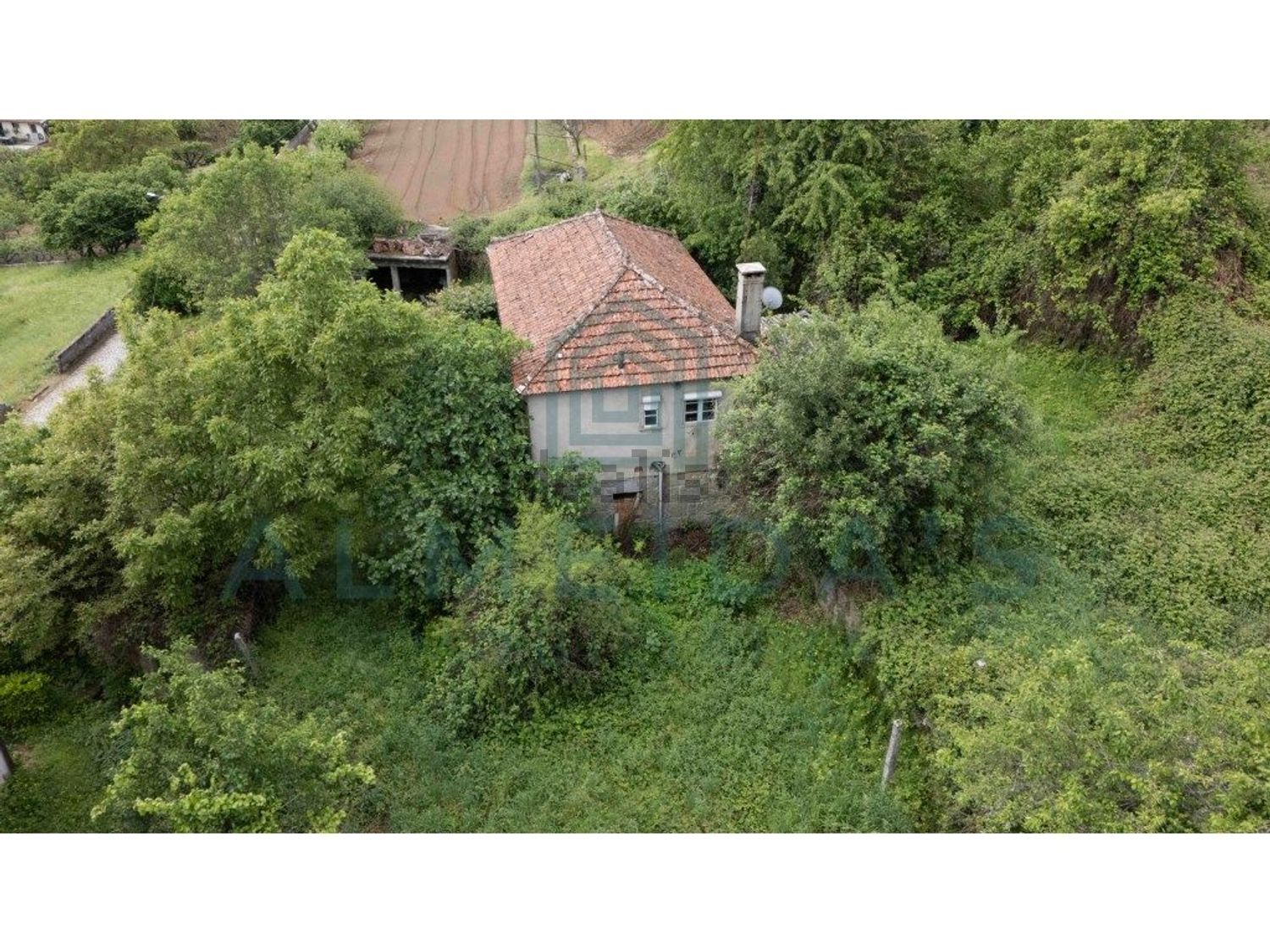 庄园出售在 Vila Pouca de Aguiar - 外立面