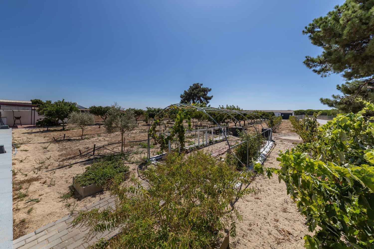 小楼房或独栋别墅出售在 Quinta Do Caixeiro(samouco) Samouco - 花园