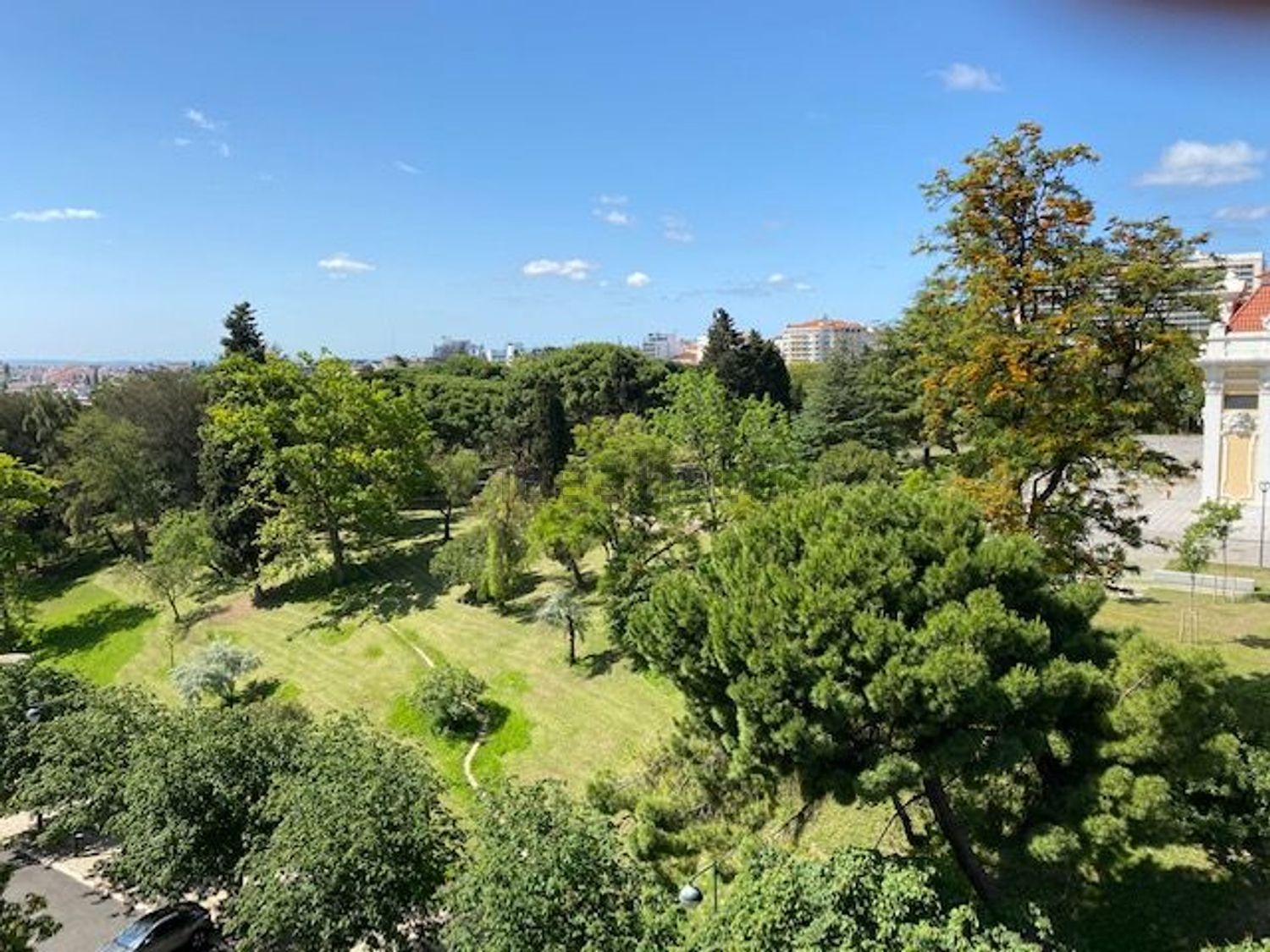 出租顶层公寓在 Bairro Azul - Parque Eduardo VII - 花园