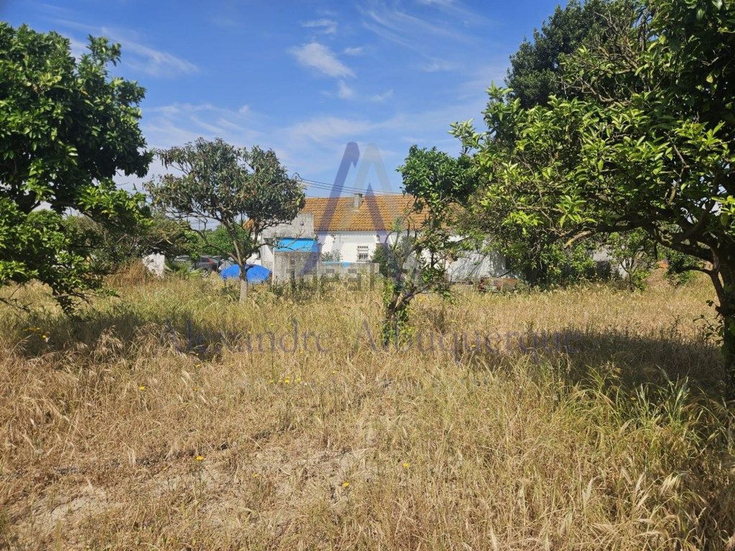 庄园出售在Rua da Agropecuária - 花园