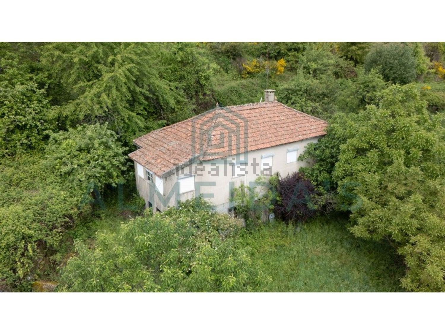 庄园出售在 Vila Pouca de Aguiar - 外立面