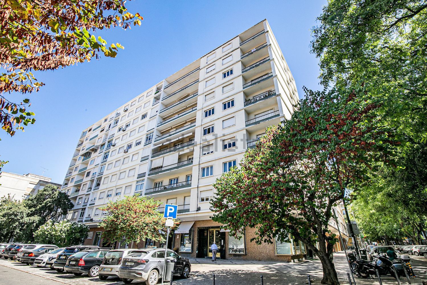 出租顶层公寓在 Gulbenkian - Praça Espanha - 视线