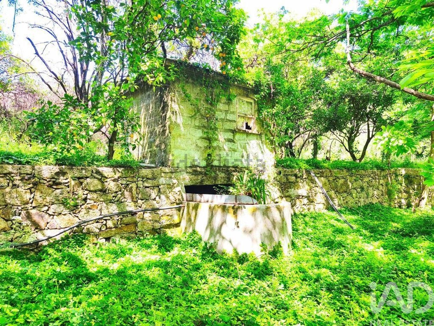 庄园出售在 Barroselas e Carvoeiro - 周边