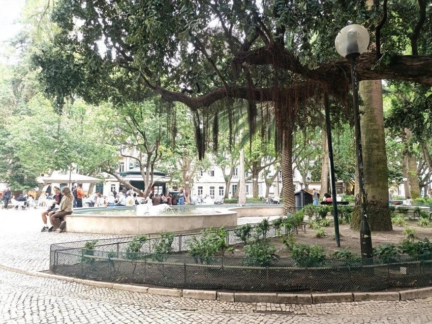 出租公寓 t4在Rua Almeida e Sousa