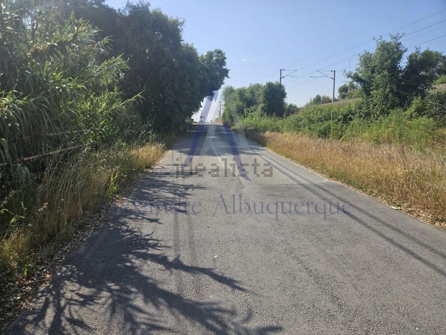 庄园出售在Rua da Agropecuária - 花园