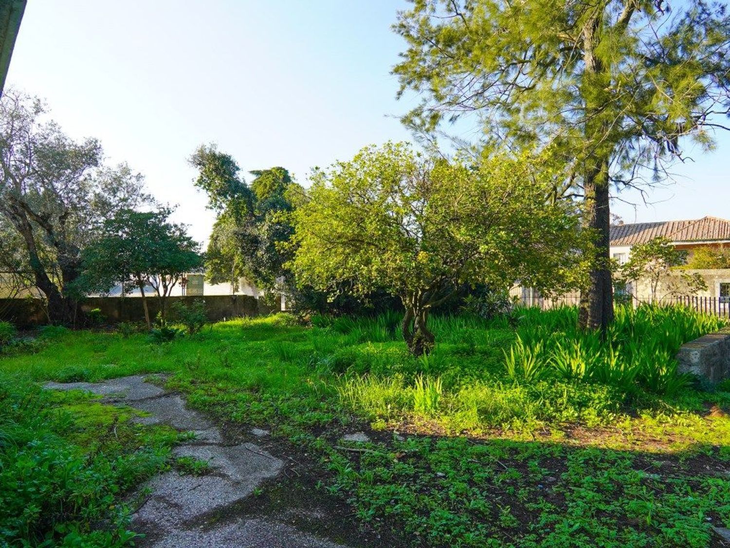 小楼房或独栋别墅出售在Estrada do Lumiar - 花园