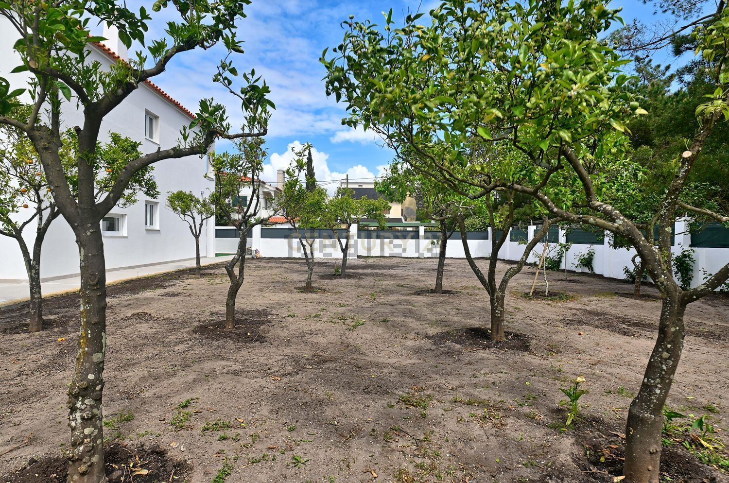 出租小楼房或独栋别墅在Rua Eduarda Lapa, 10 - 花园