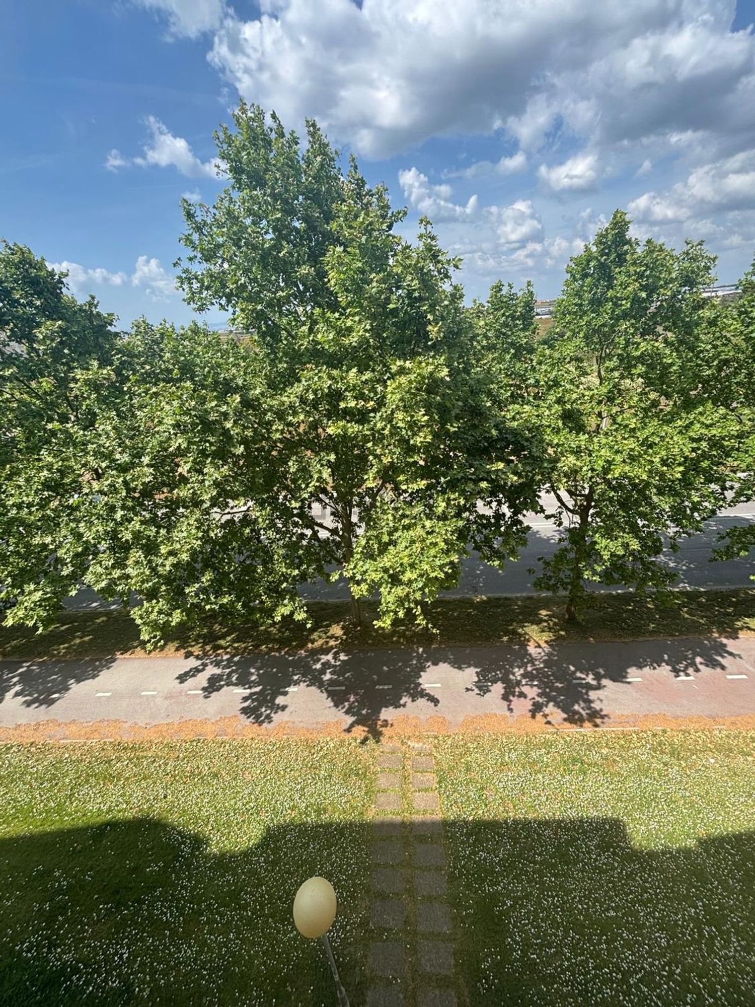 公寓 t3出售在Avenida Dom João II, 613 - 花园
